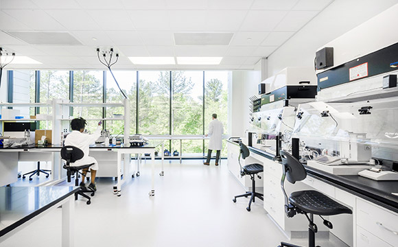 9001诚信金沙科技